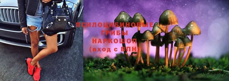 Галлюциногенные грибы MAGIC MUSHROOMS  купить   Соликамск 